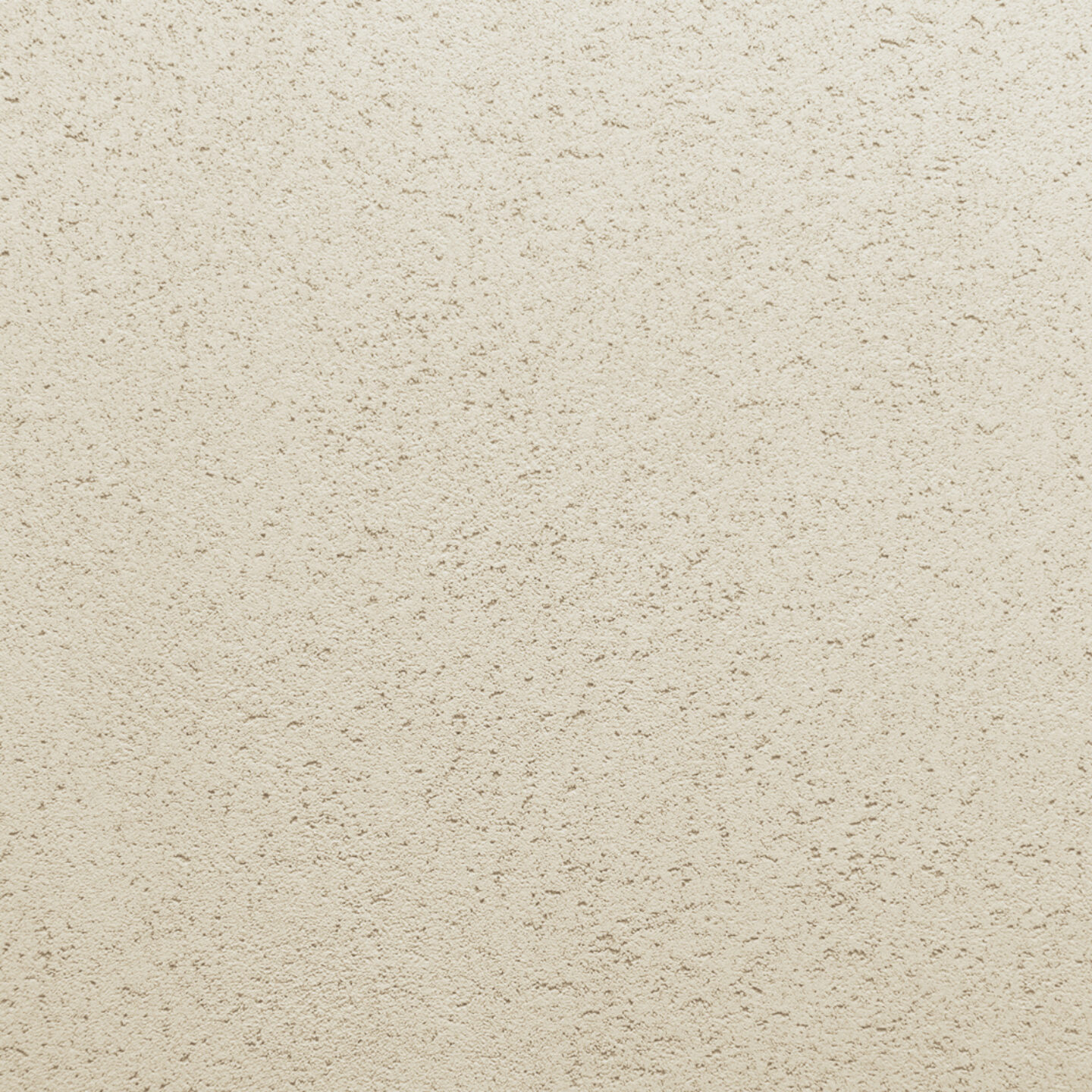 Close up of Clay Lime Clime Coarse plaster finish - 05