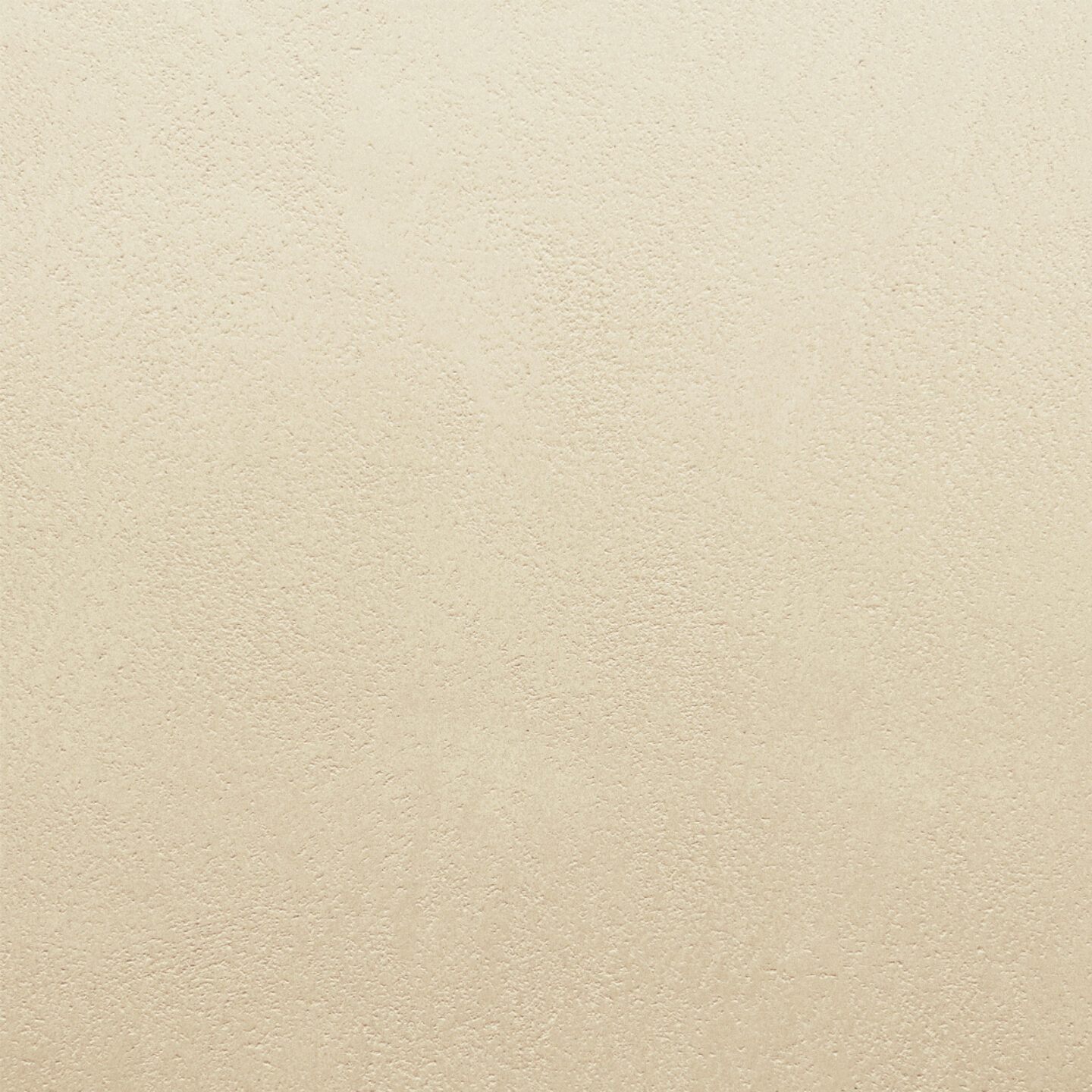 Close up of Armourcoat leatherstone exterior polished plaster finish - 49